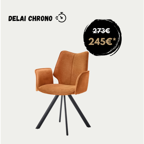 Lot de 2 Chaises Sun avec accoudoirs